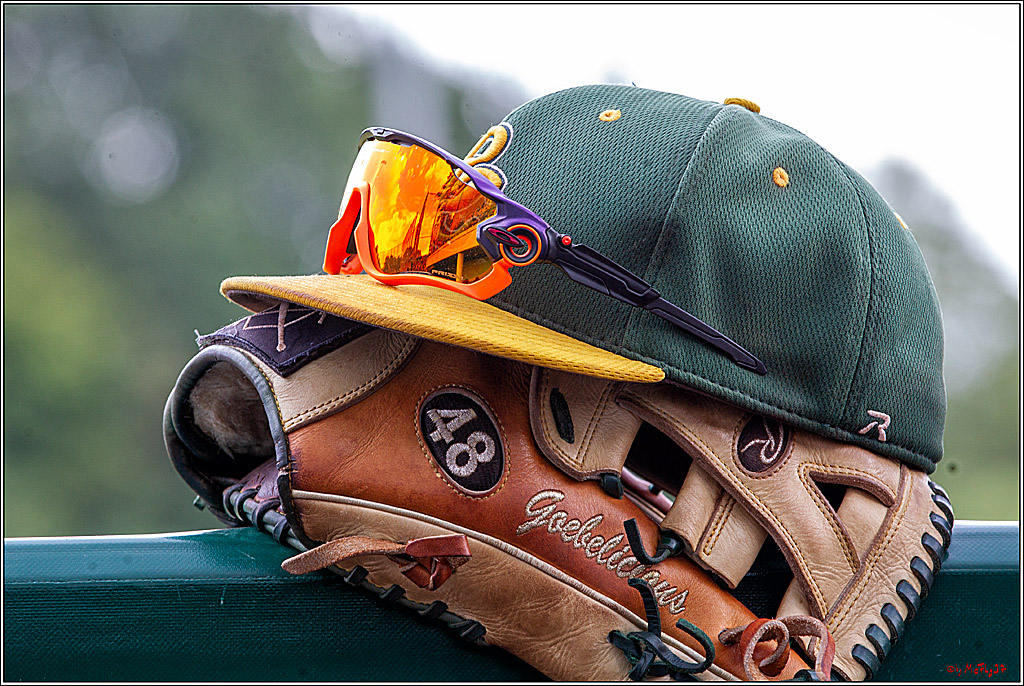 Baseball Bundesliga Finale Spiel 3 - Bonn Capitals Vs. Heidenheim Heidekoepfe, 03.08.2019