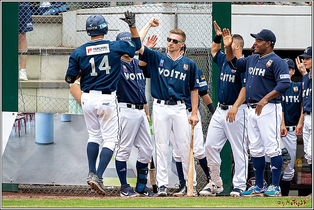 Baseball Bundesliga Finale Spiel 3 - Bonn Capitals Vs. Heidenheim Heidekoepfe, 03.08.2019