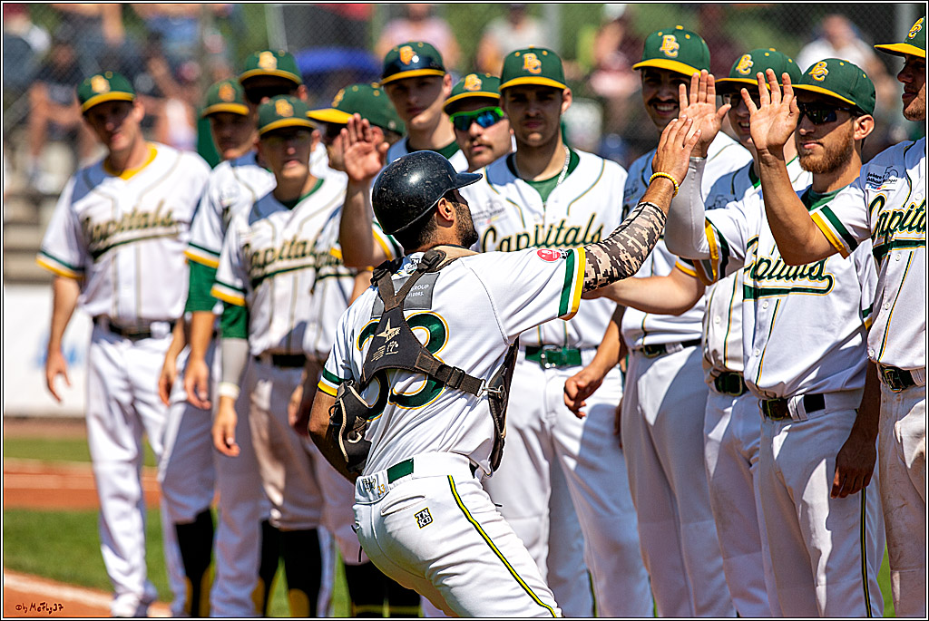 Baseball Bundesliga Finale Spiel 4 - Bonn Capitals Vs. Heidenheim Heidekoepfe, 04.08.2019