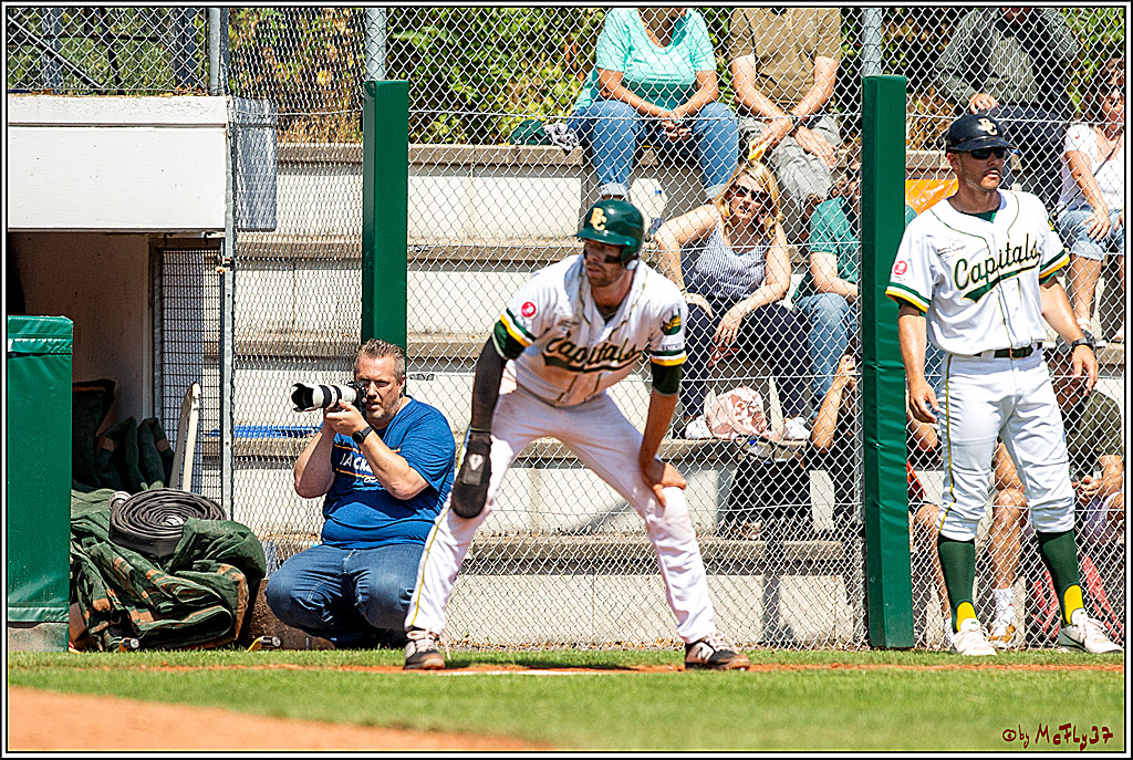 Baseball Bundesliga Finale Spiel 4 - Bonn Capitals Vs. Heidenheim Heidekoepfe, 04.08.2019