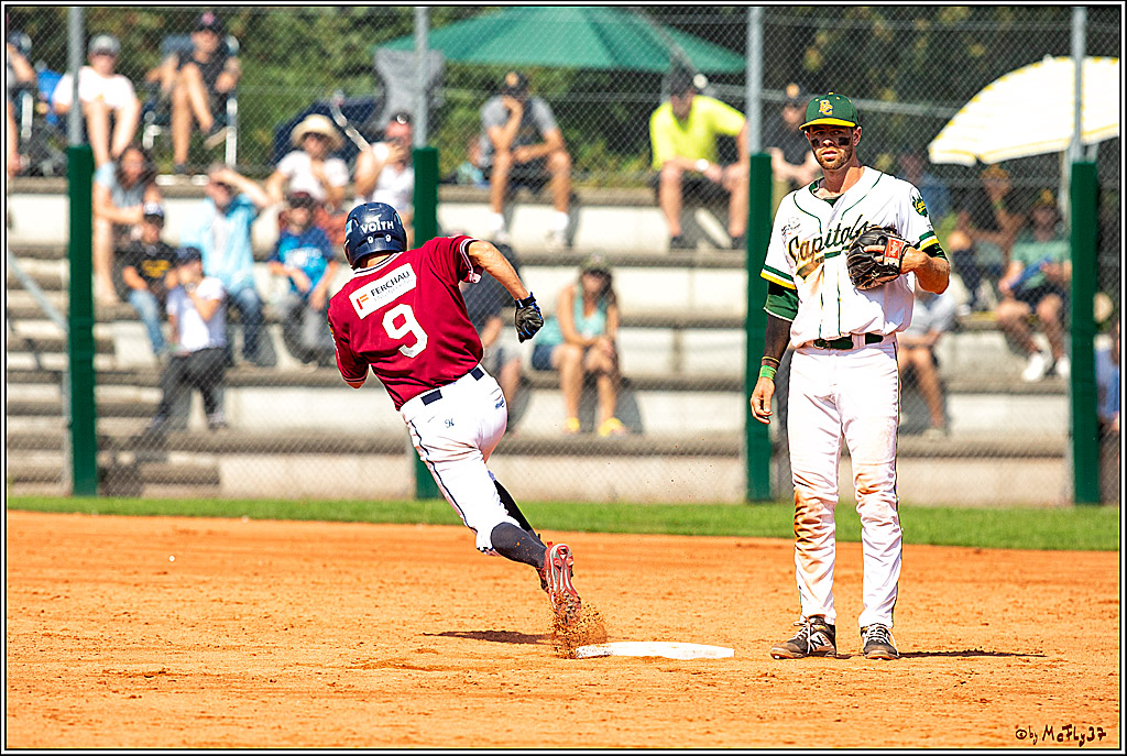 Baseball Bundesliga Finale Spiel 4 - Bonn Capitals Vs. Heidenheim Heidekoepfe, 04.08.2019