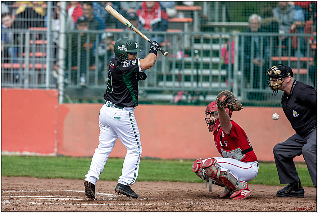Bundesliga Baseball; Baseball - Cologne Cardinals - Solingen Alligators, 06.04.2019