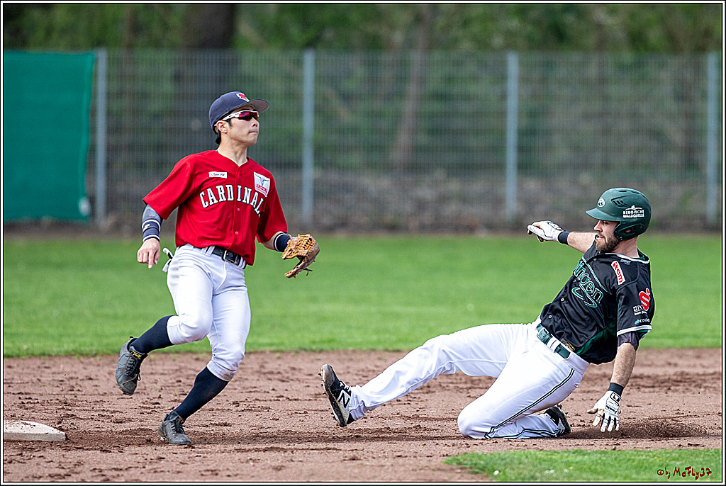 Bundesliga Baseball; Baseball - Cologne Cardinals - Solingen Alligators, 06.04.2019
