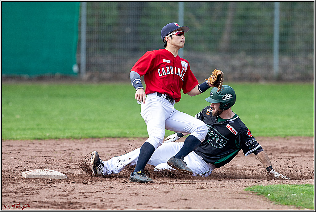 Bundesliga Baseball; Baseball - Cologne Cardinals - Solingen Alligators, 06.04.2019