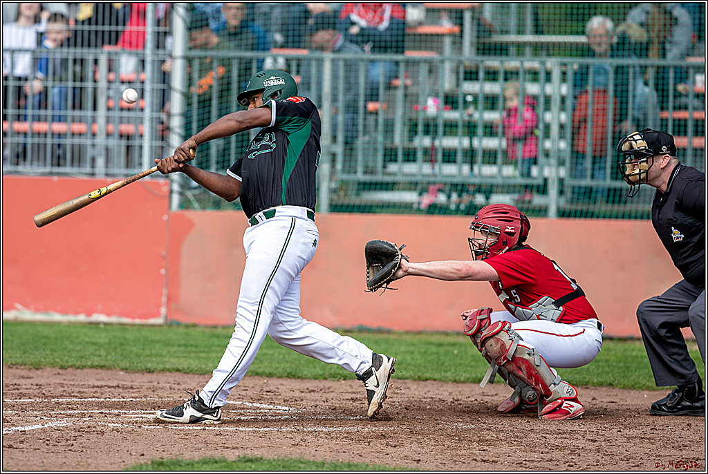 Bundesliga Baseball; Baseball - Cologne Cardinals - Solingen Alligators, 06.04.2019