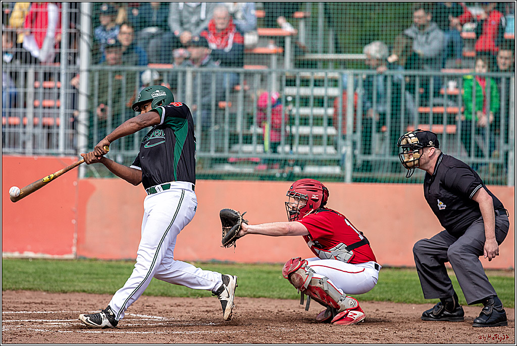 Bundesliga Baseball; Baseball - Cologne Cardinals - Solingen Alligators, 06.04.2019