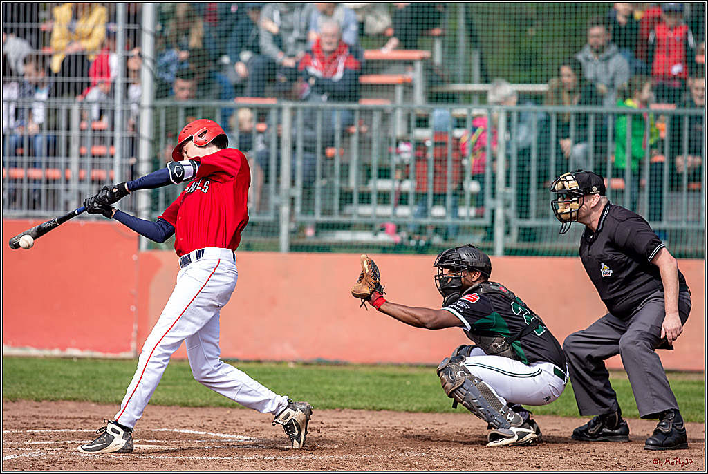 Bundesliga Baseball; Baseball - Cologne Cardinals - Solingen Alligators, 06.04.2019