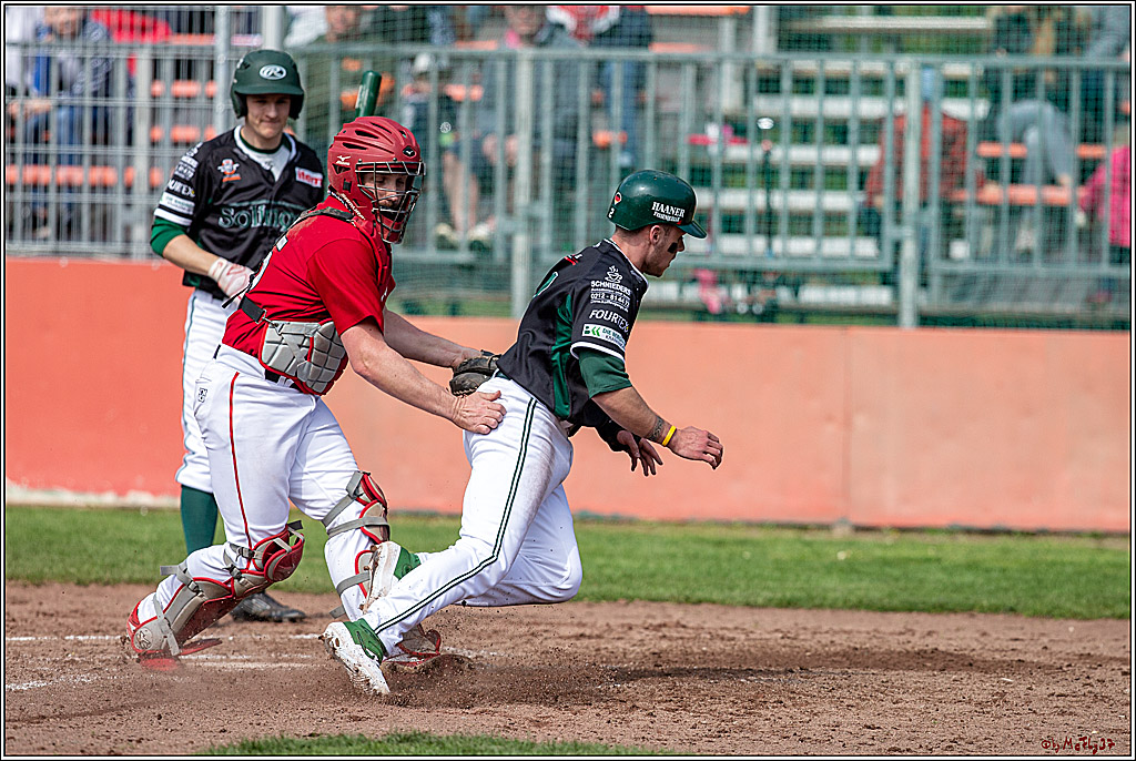 Bundesliga Baseball; Baseball - Cologne Cardinals - Solingen Alligators, 06.04.2019