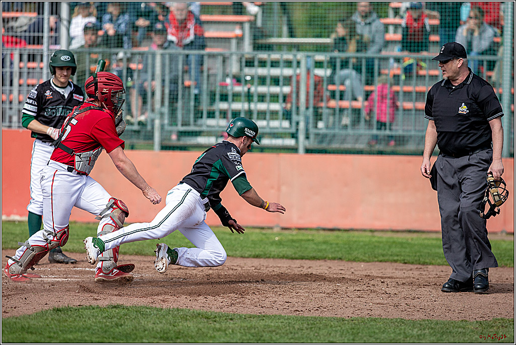 Bundesliga Baseball; Baseball - Cologne Cardinals - Solingen Alligators, 06.04.2019