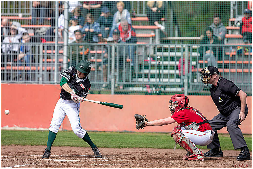 Bundesliga Baseball; Baseball - Cologne Cardinals - Solingen Alligators, 06.04.2019