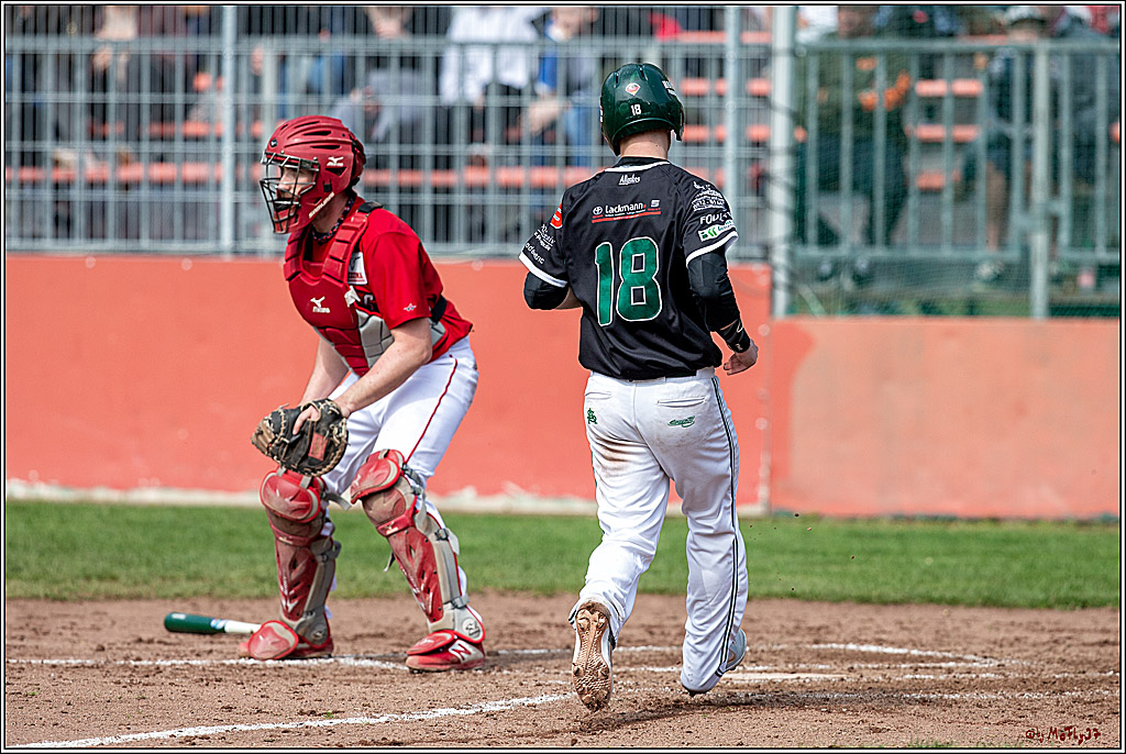 Bundesliga Baseball; Baseball - Cologne Cardinals - Solingen Alligators, 06.04.2019