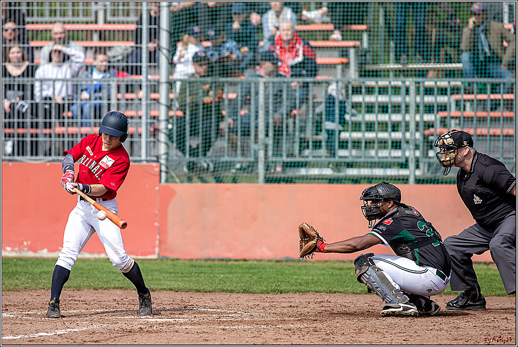 Bundesliga Baseball; Baseball - Cologne Cardinals - Solingen Alligators, 06.04.2019