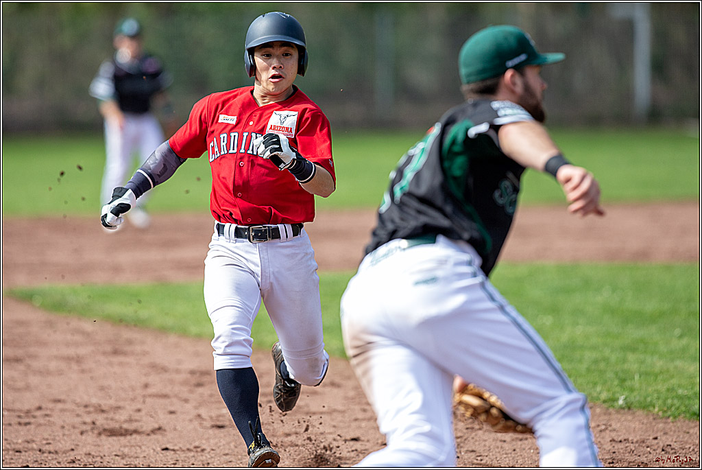 Bundesliga Baseball; Baseball - Cologne Cardinals - Solingen Alligators, 06.04.2019