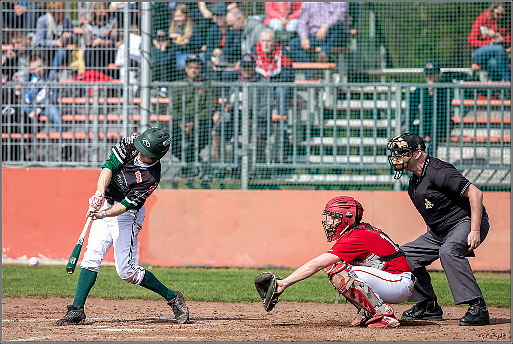 Bundesliga Baseball; Baseball - Cologne Cardinals - Solingen Alligators, 06.04.2019