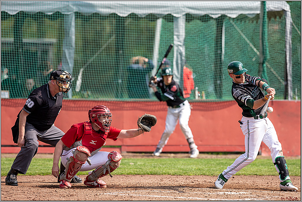 Bundesliga Baseball; Baseball - Cologne Cardinals - Solingen Alligators, 06.04.2019