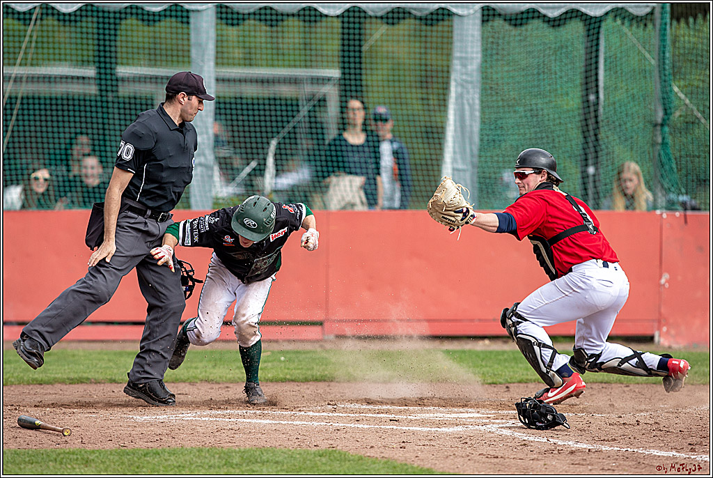 Bundesliga Baseball; Baseball - Cologne Cardinals - Solingen Alligators, 06.04.2019