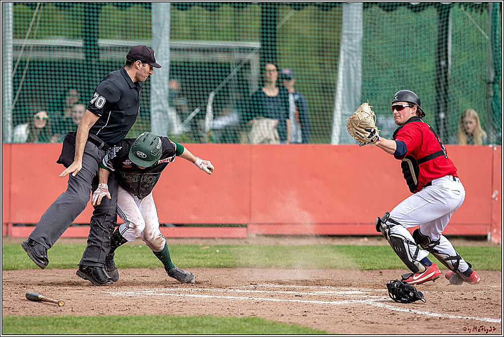Bundesliga Baseball; Baseball - Cologne Cardinals - Solingen Alligators, 06.04.2019