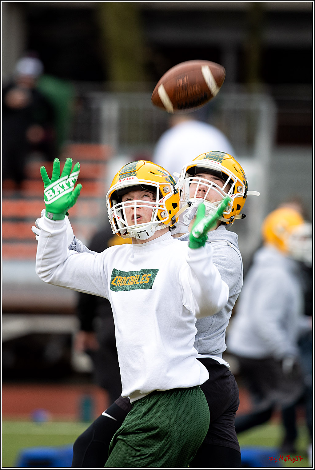 Trainingstag Cologne Crocodiles; Koeln, 08.01.2022