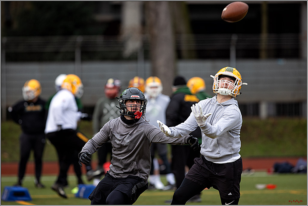 Trainingstag Cologne Crocodiles; Koeln, 08.01.2022