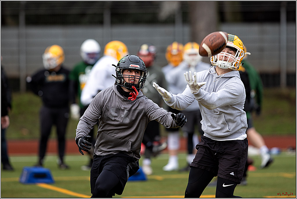 Trainingstag Cologne Crocodiles; Koeln, 08.01.2022