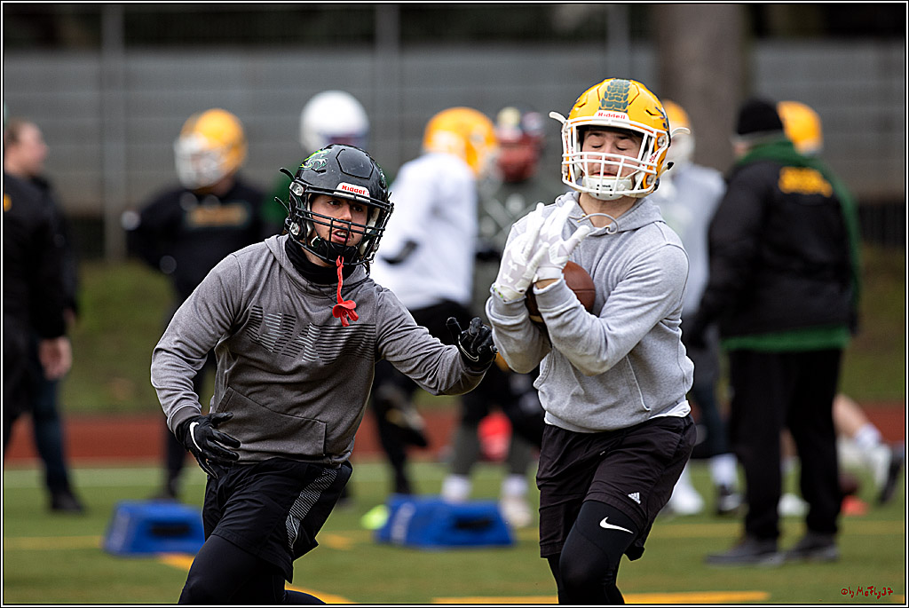 Trainingstag Cologne Crocodiles; Koeln, 08.01.2022