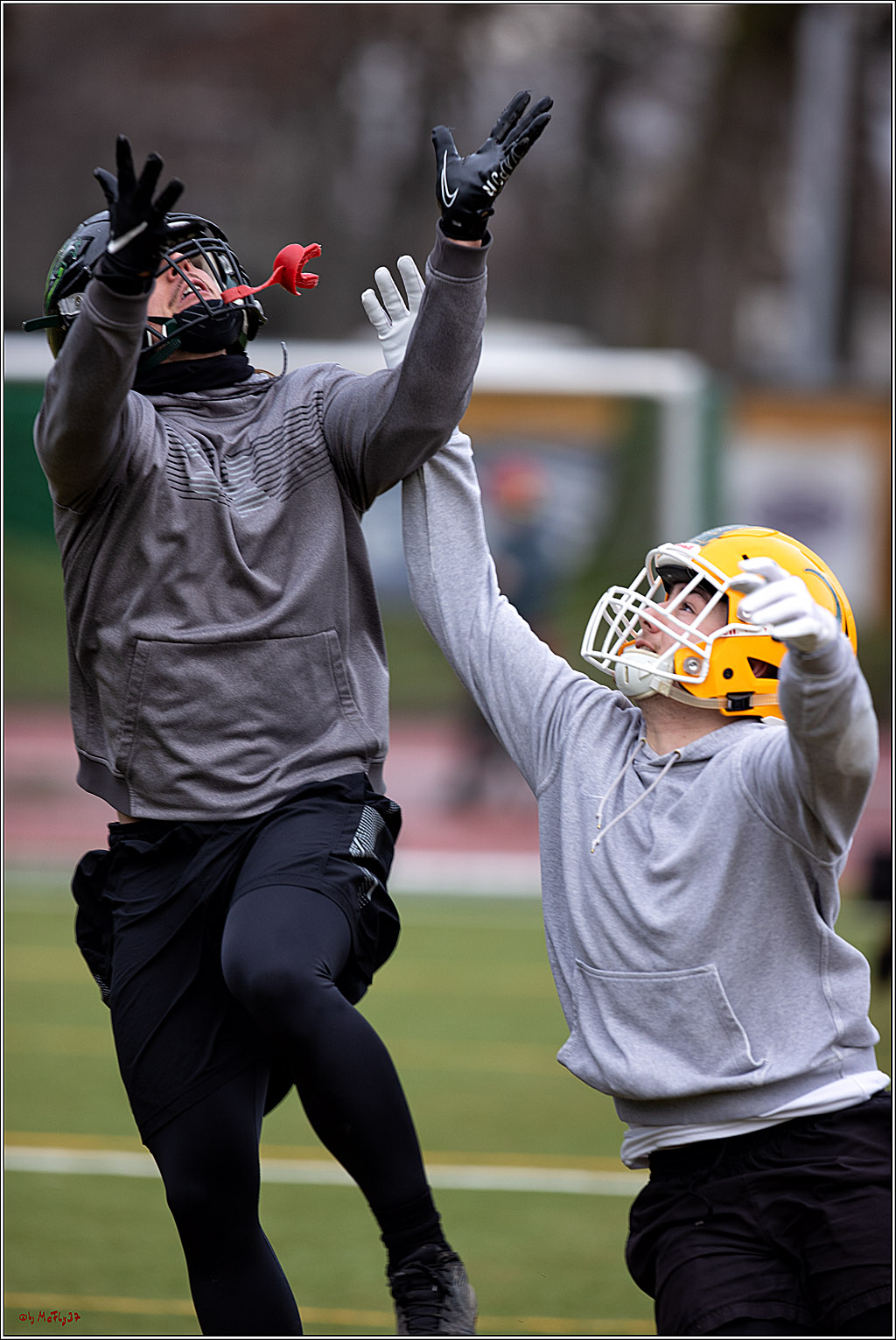 Trainingstag Cologne Crocodiles; Koeln, 08.01.2022