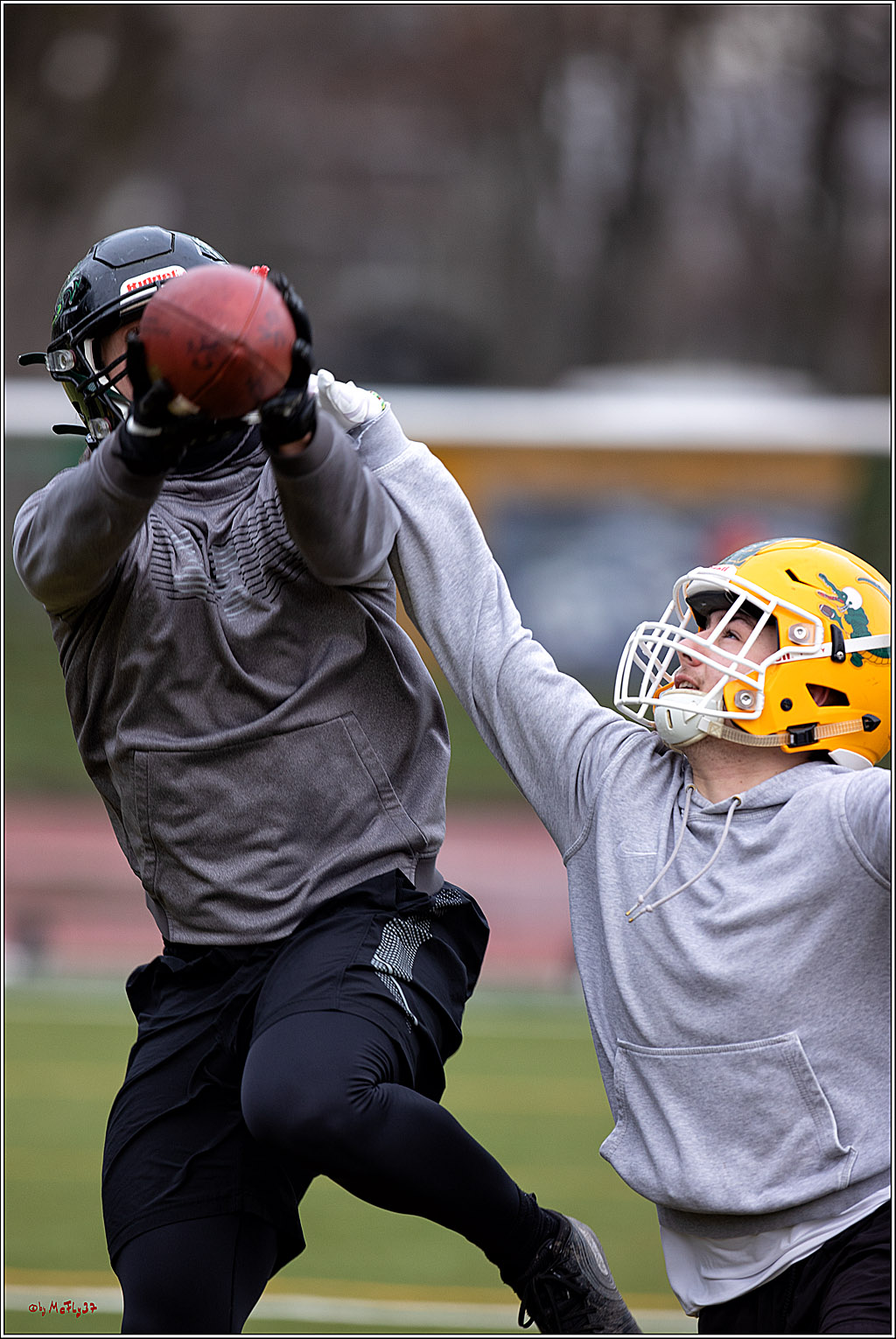 Trainingstag Cologne Crocodiles; Koeln, 08.01.2022