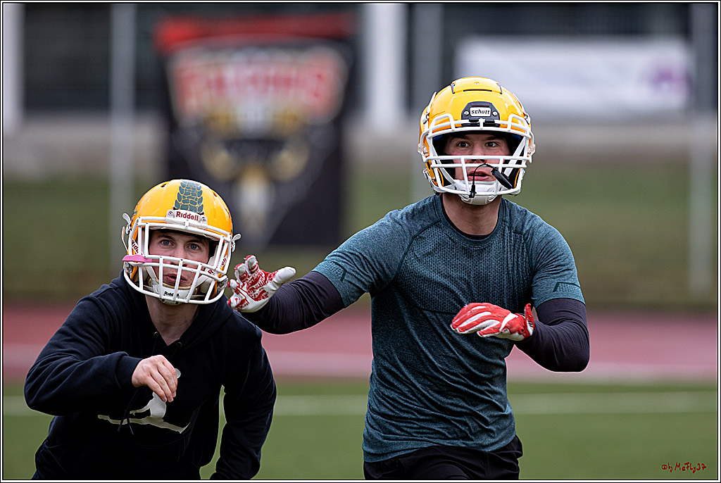 Trainingstag Cologne Crocodiles; Koeln, 08.01.2022