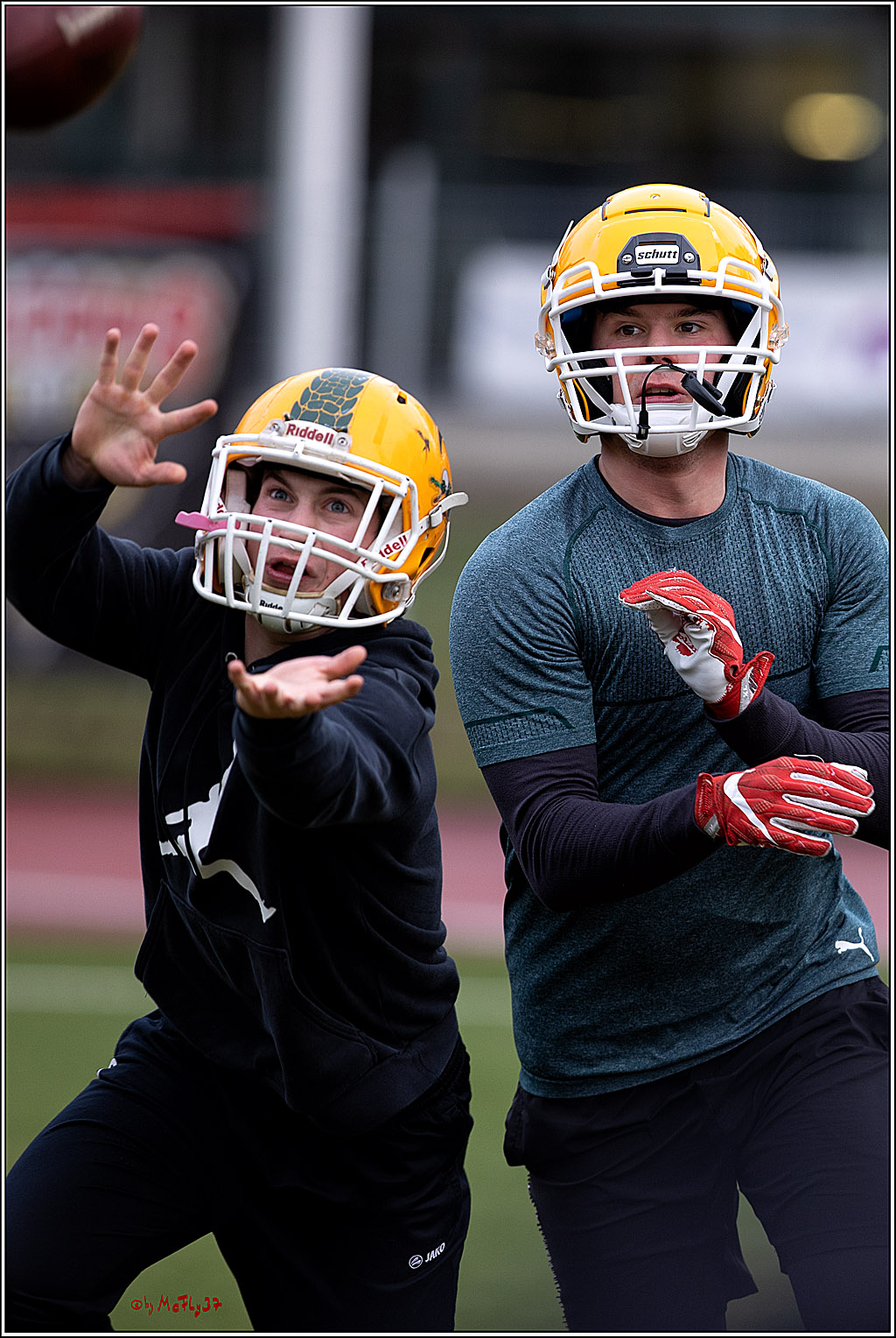 Trainingstag Cologne Crocodiles; Koeln, 08.01.2022