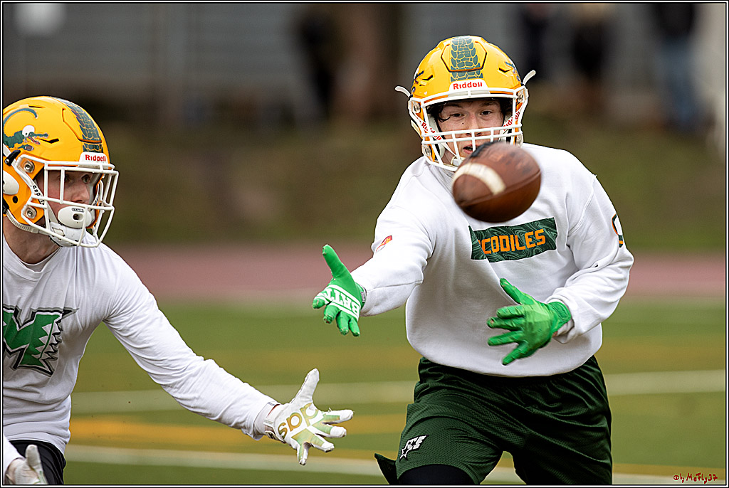 Trainingstag Cologne Crocodiles; Koeln, 08.01.2022