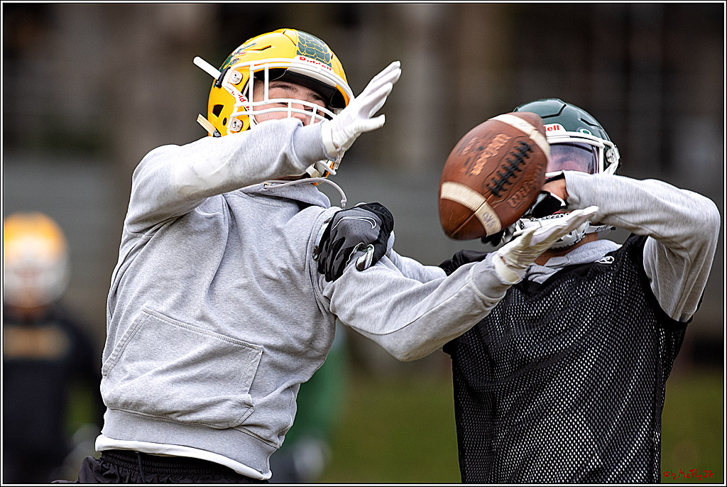 Trainingstag Cologne Crocodiles; Koeln, 08.01.2022