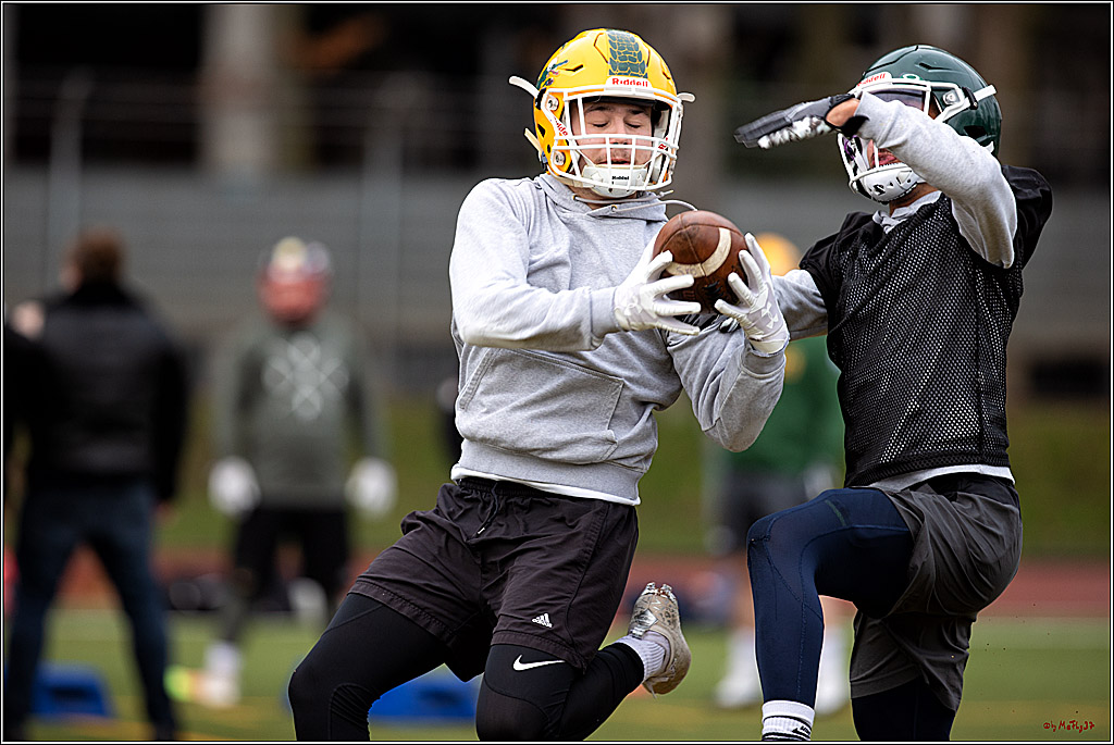 Trainingstag Cologne Crocodiles; Koeln, 08.01.2022