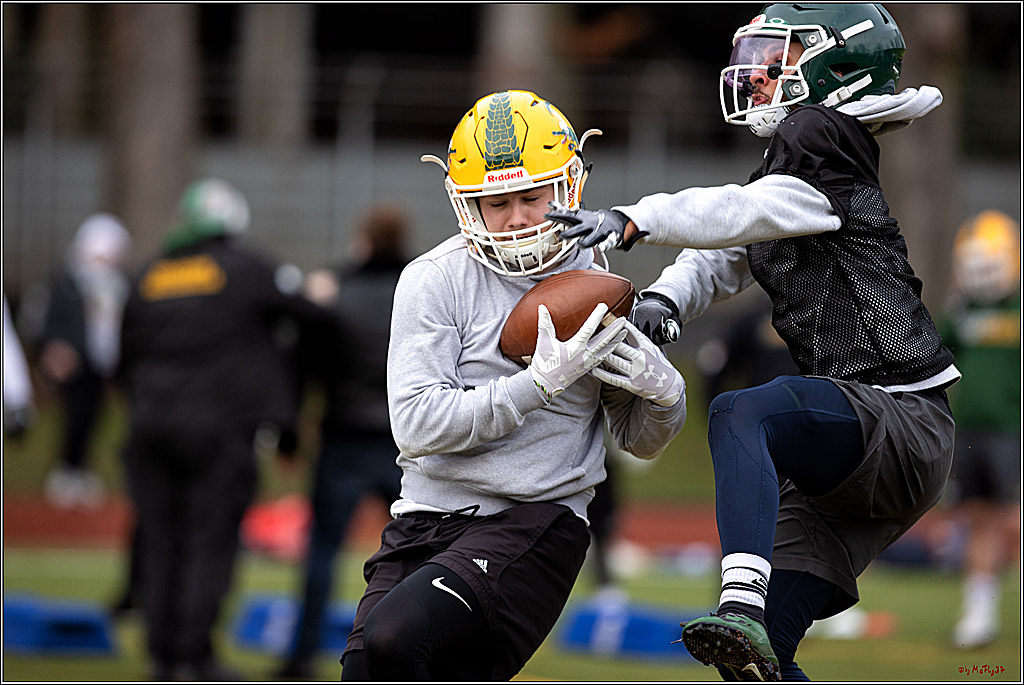 Trainingstag Cologne Crocodiles; Koeln, 08.01.2022