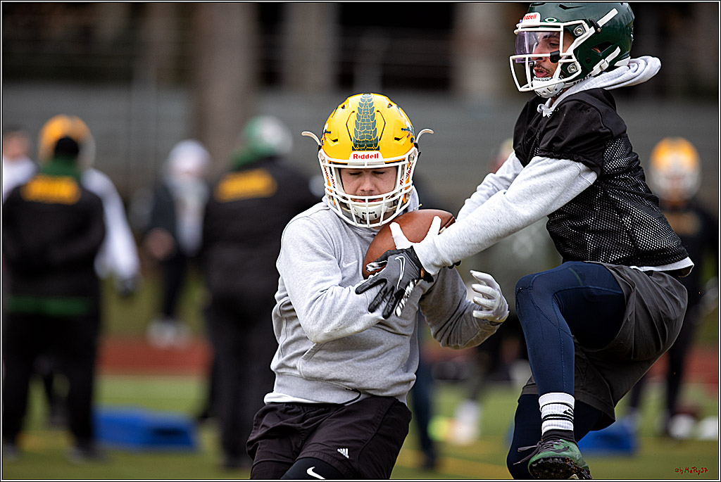 Trainingstag Cologne Crocodiles; Koeln, 08.01.2022