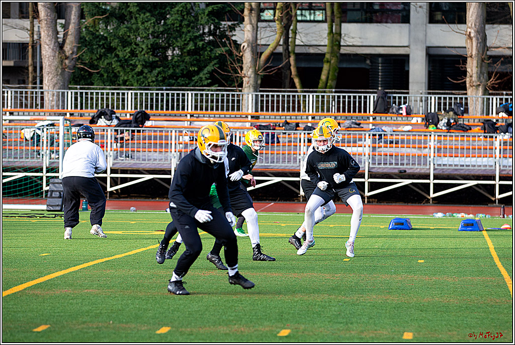 Trainingstag Cologne Crocodiles; Koeln, 08.01.2022