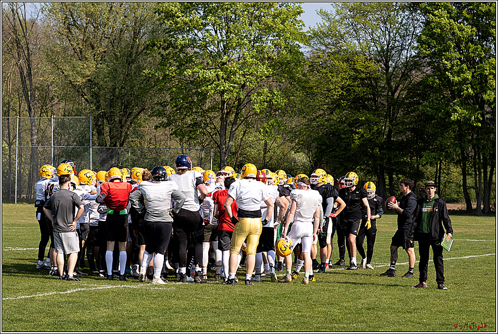 American Football, Colgone, Cocodiles,