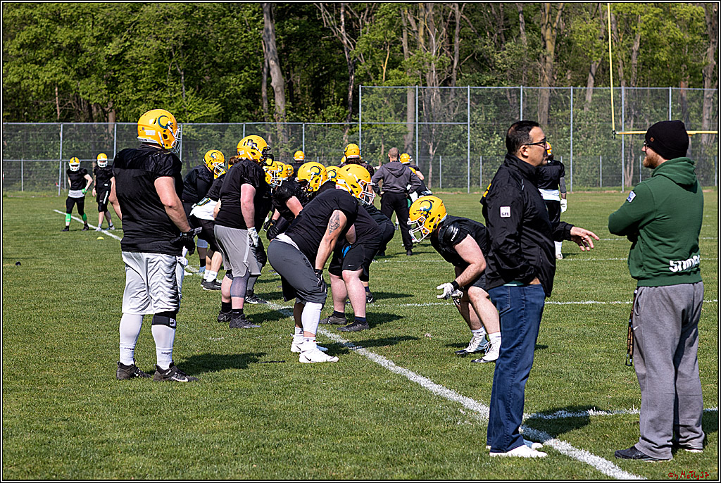 American Football, Colgone, Cocodiles,