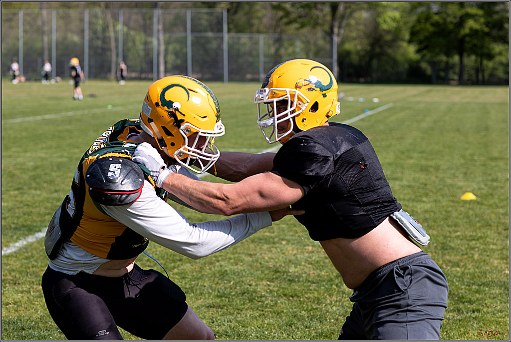 American Football, Colgone, Cocodiles,