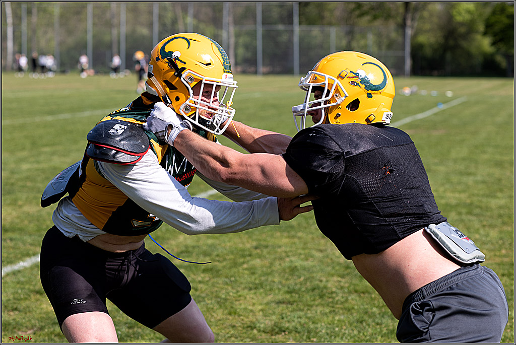 American Football, Colgone, Cocodiles,