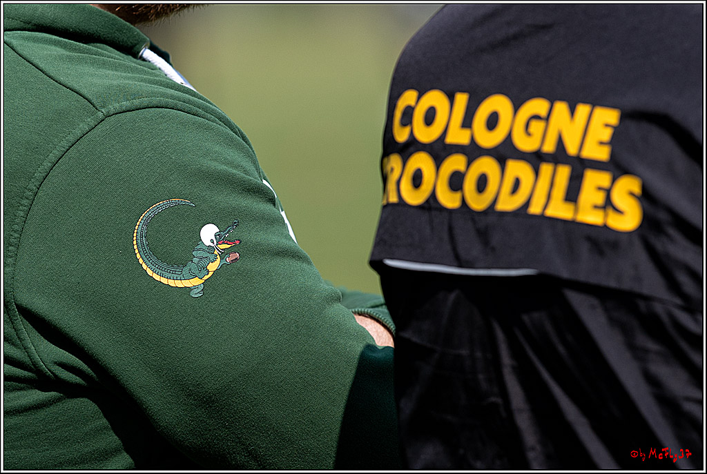 American Football, Colgone, Cocodiles,