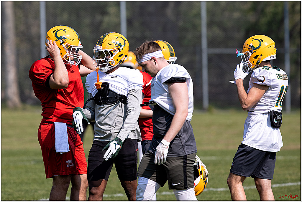 American Football, Colgone, Cocodiles,