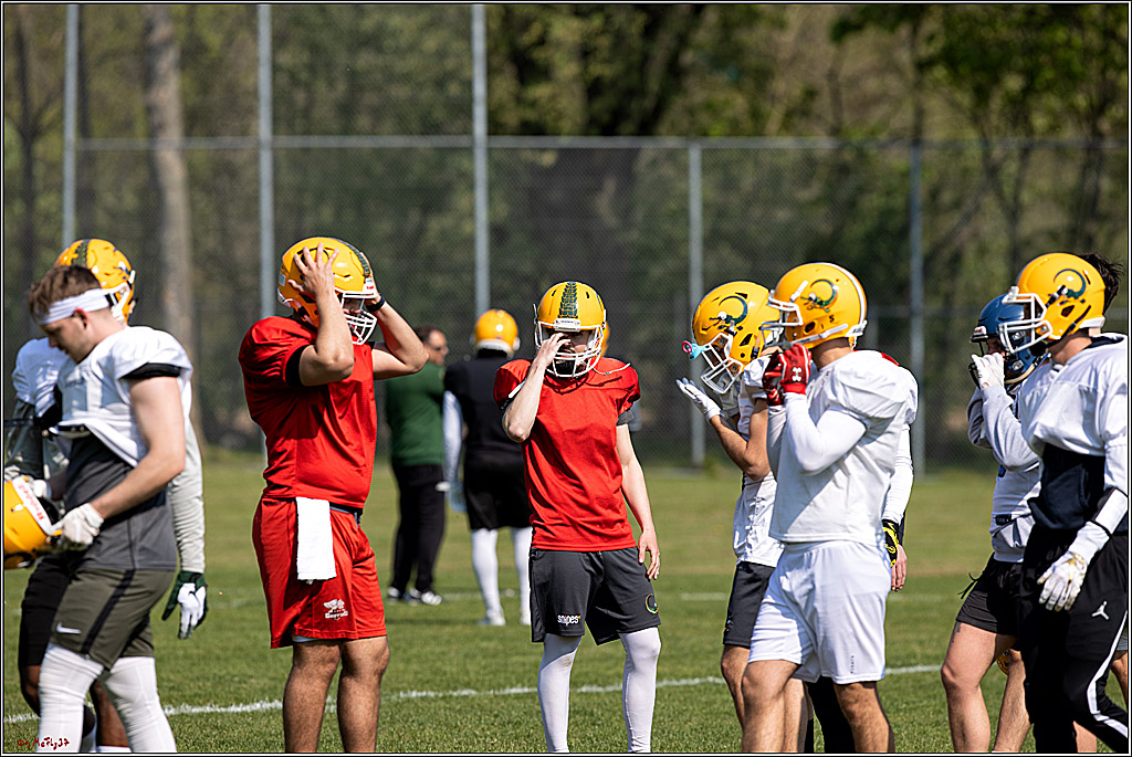 American Football, Colgone, Cocodiles,