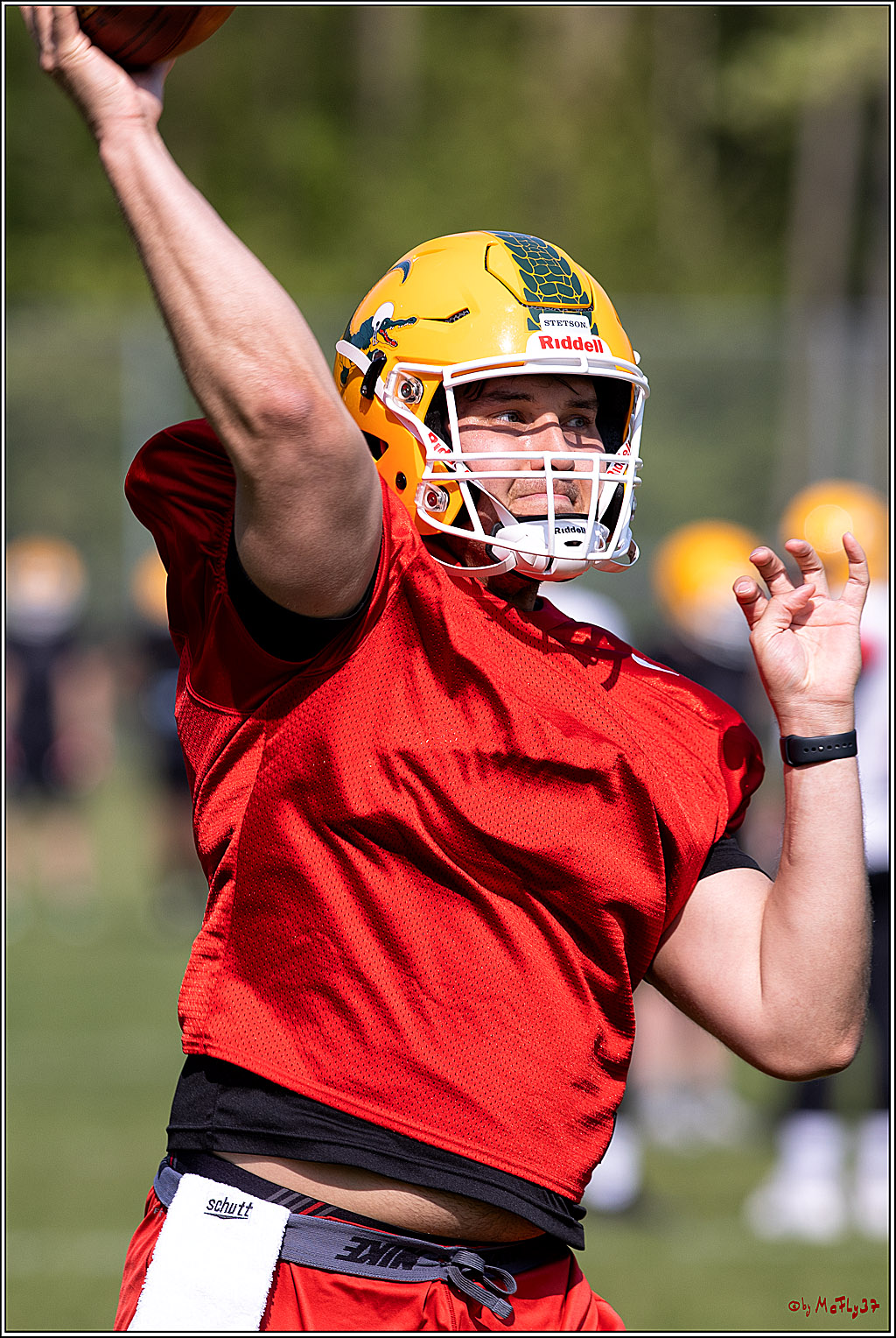 American Football, Colgone, Cocodiles,