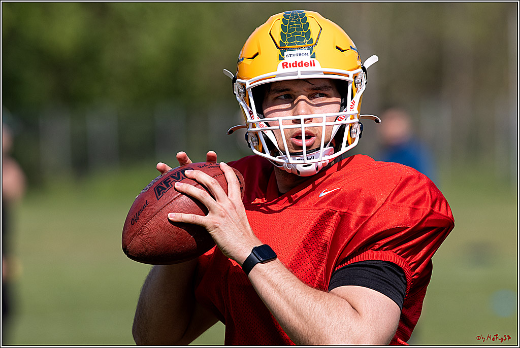 American Football, Colgone, Cocodiles,