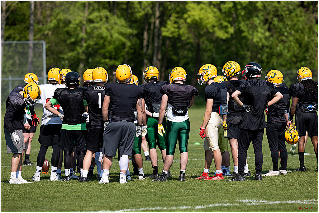 American Football, Colgone, Cocodiles,