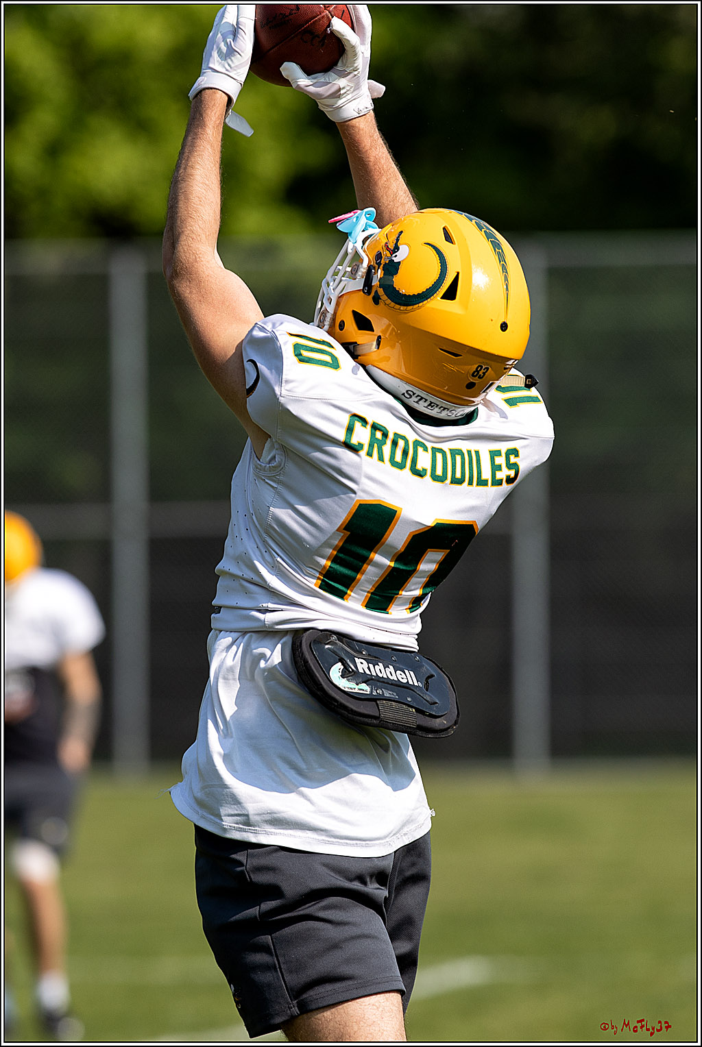 American Football, Colgone, Cocodiles,