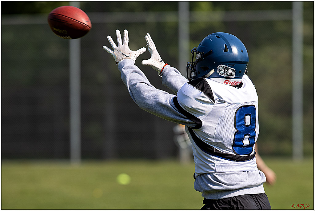 American Football, Colgone, Cocodiles,