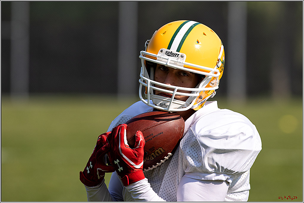 American Football, Colgone, Cocodiles,