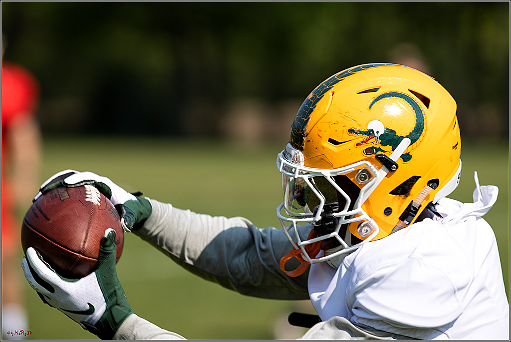 American Football, Colgone, Cocodiles,