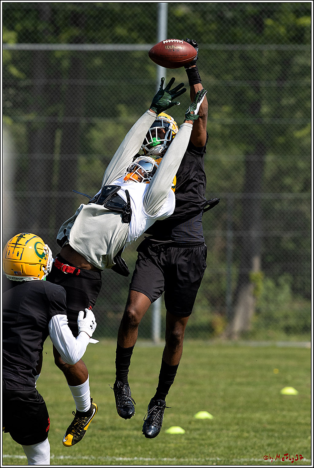 American Football, Colgone, Cocodiles,